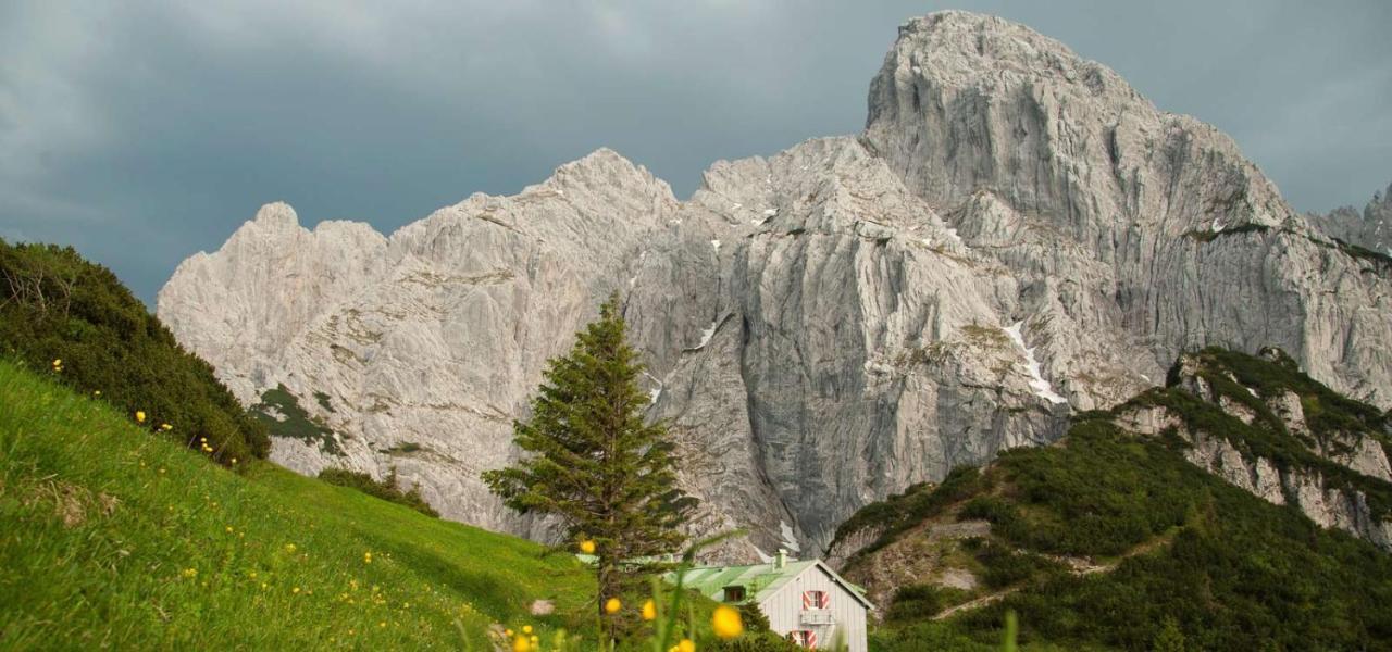 Sonne Hotel St. Johann in Tirol